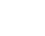 Functionnality Icon